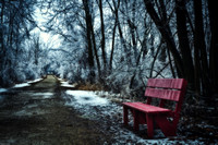 A Cold Wait
