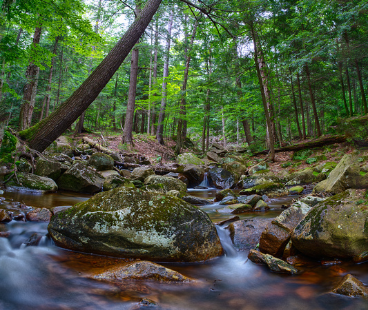 Riverscape