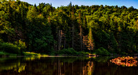 Glassy